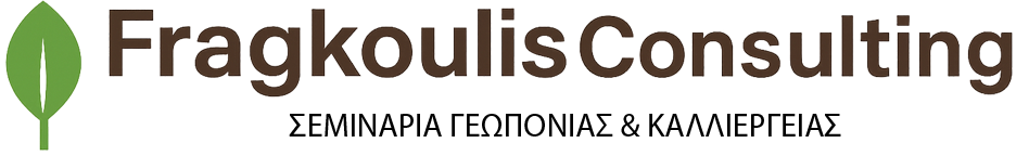 Fragoulis Consulting